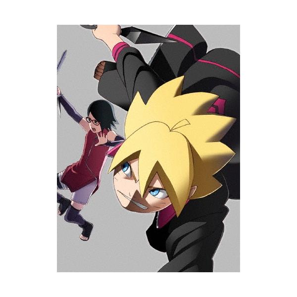 BORUTO-ボルト- NARUTO NEXT GENERATIONS DVD-BOX2 【うちはサラダ編