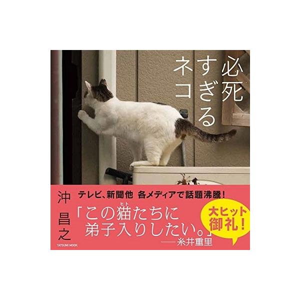 写真集 必死すぎるネコの人気商品 通販 価格比較 価格 Com