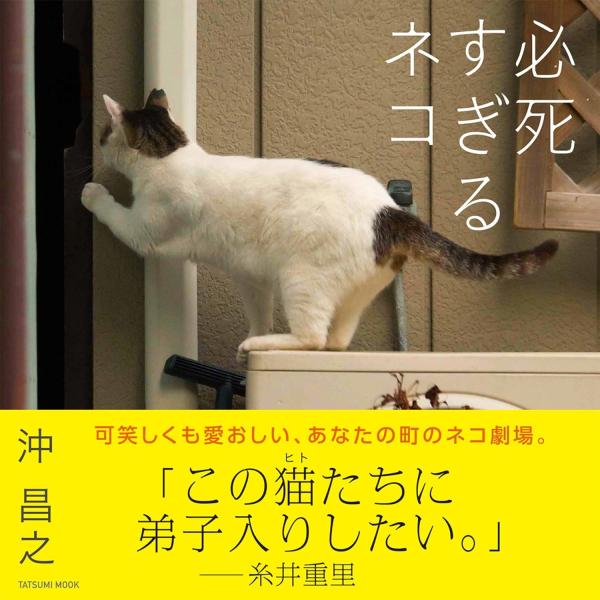 �����V �K��������l�R Mook ���i�摜1