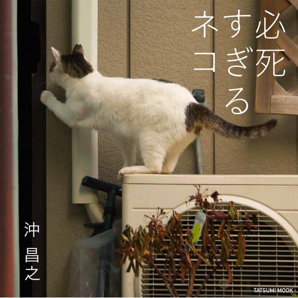 �����V �K��������l�R Mook ���i�摜2
