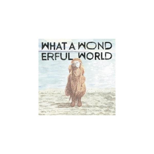 堀込泰行 What A Wonderful World CD