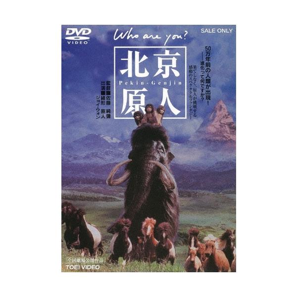 北京原人 Who are you? DVD : タワーレコード Yahoo!店 - 通販 - Yahoo