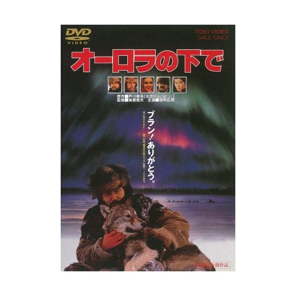 オーロラの下で DVD