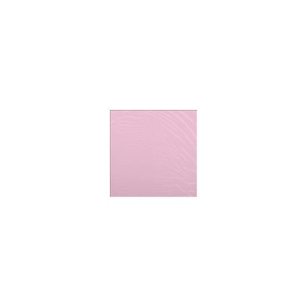Cam'Ron The Program (Clear Vinyl) ［LP+バンダナ］＜限定盤＞ LP