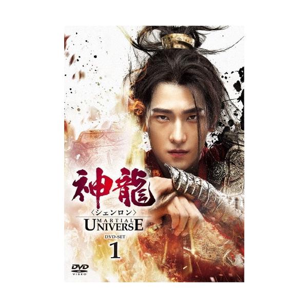 神龍＜シェンロン＞-Martial Universe- DVD-SET1 DVD