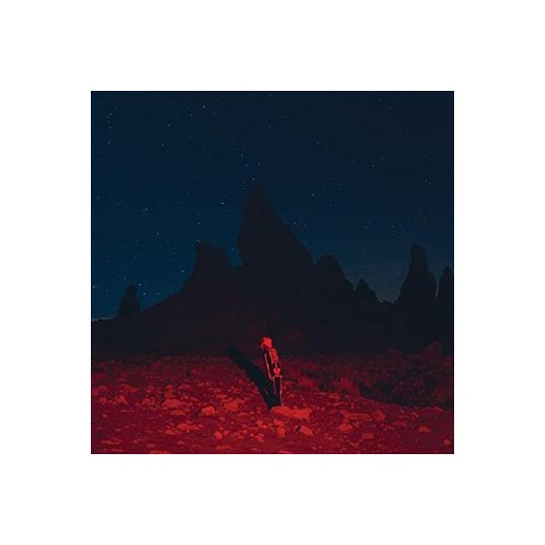 Phoebe Bridgers Punisher LP : タワーレコード Yahoo!店 - 通販