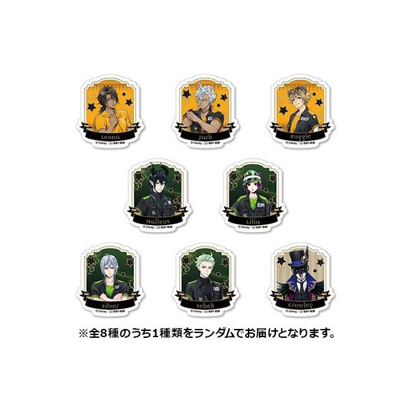 ディズニー ツイステッドワンダーランド アクリルクリップ 運動着 B