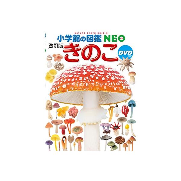 [Release date: November 27, 2017]ご注文後のキャンセル・返品は承れません。発売日:2017年11月27日/商品ID:5221933/ジャンル:DOMESTIC BOOKS/フォーマット:Book/構成数:2/...