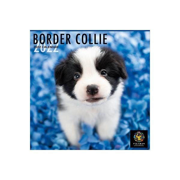 カレンダー ボーダーコリー 生活雑貨の人気商品 通販 価格比較 価格 Com