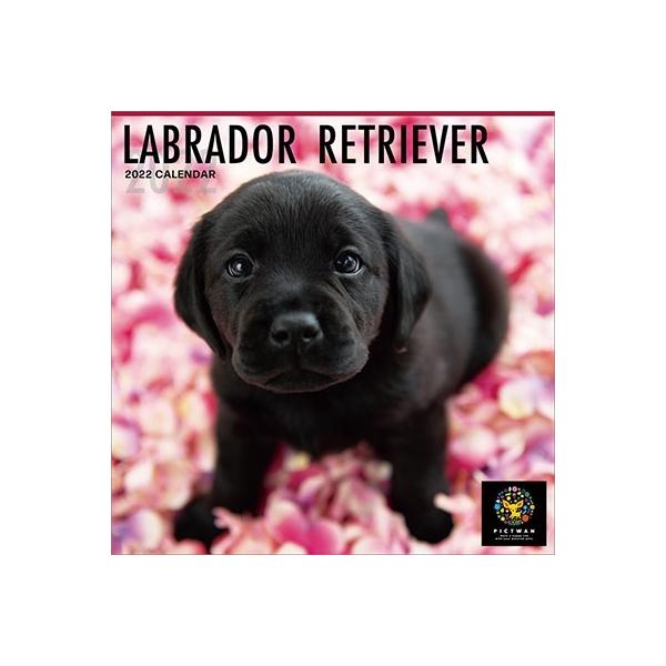 カレンダー ラブラドールの人気商品 通販 価格比較 価格 Com
