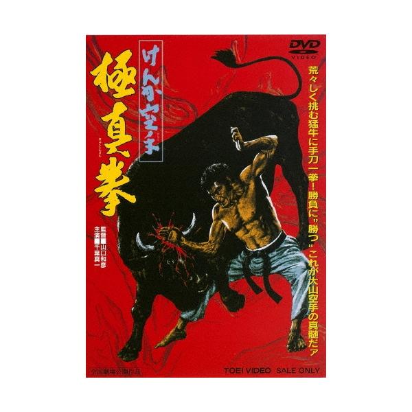 けんか空手 極真拳 DVD