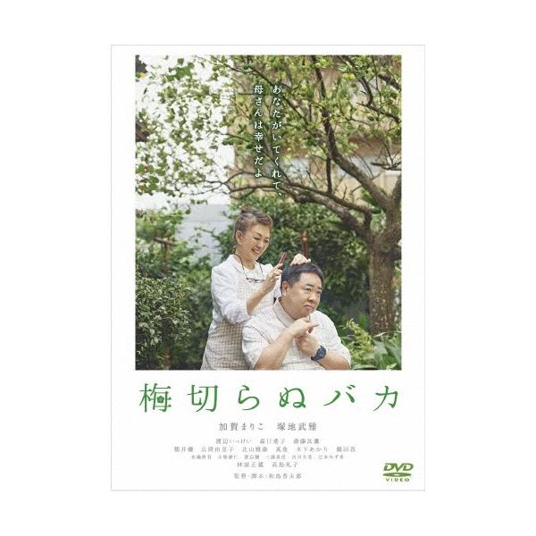 梅切らぬバカ DVD