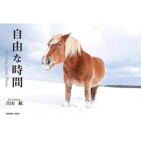 [本/雑誌]/自由な時間/立山紘/著
