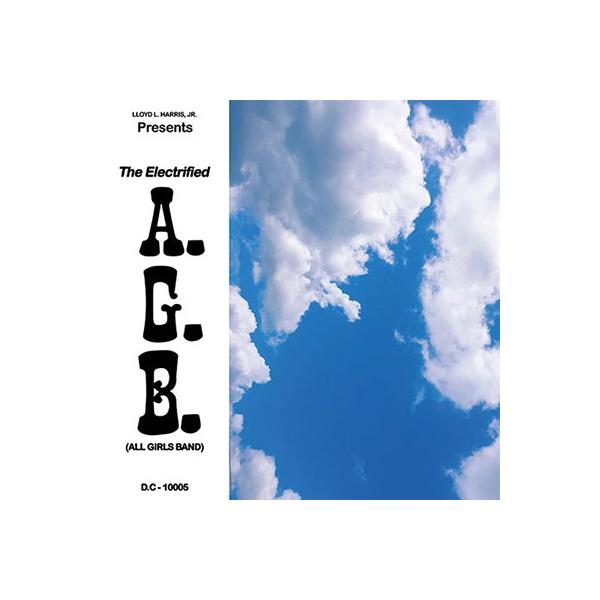 The Electrified A.G.B. Fly Away 12inch Single