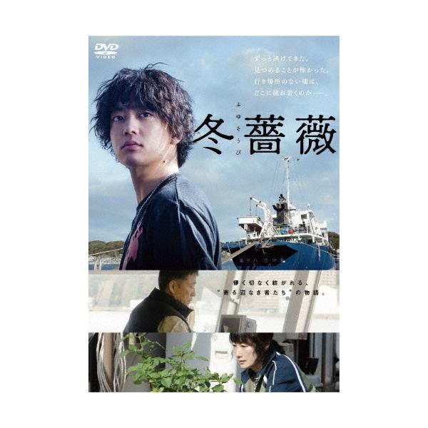 冬薔薇 DVD