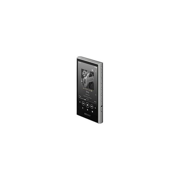 SONY WALKMAN NW-A306 グレー Accessories