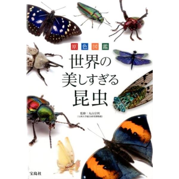 原色図鑑世界の美しすぎる昆虫/丸山宗利
