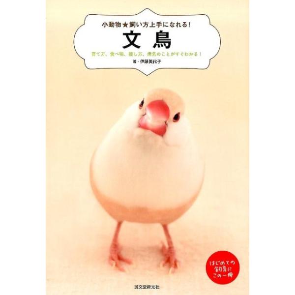 文鳥 育て方、食べ物、接し方、病気のことがすぐわかる! はじめての飼育にこの一冊/伊藤美代子