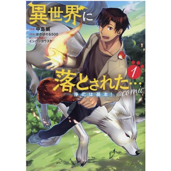 『異世界に落とされた…浄化は基本！』1巻の表紙（Yahoo!ショッピングより）