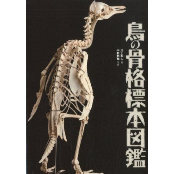 鳥の骨格標本図鑑 / 川上和人  〔図鑑〕