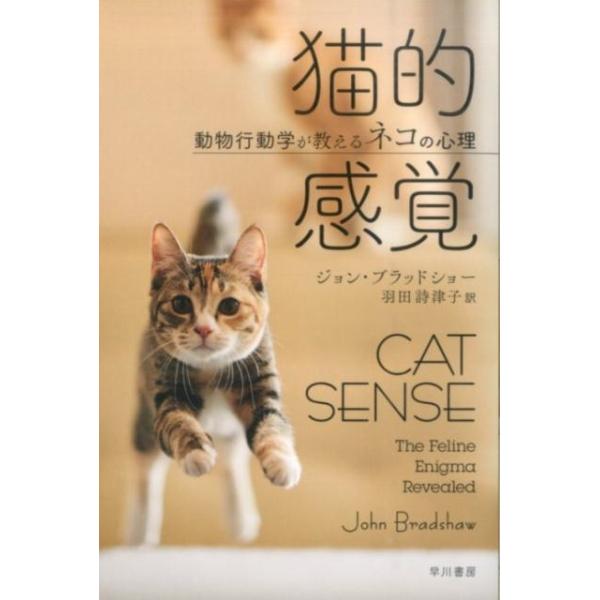 猫的感覚 動物行動学が教えるネコの心理 / ジョン・ブラッドショー  〔本〕