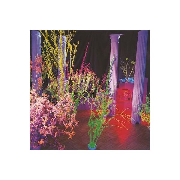 中古LP ハスカー・ドゥWarehouse Songs and Stories LTEwNDEuanBlZw.jpeg
