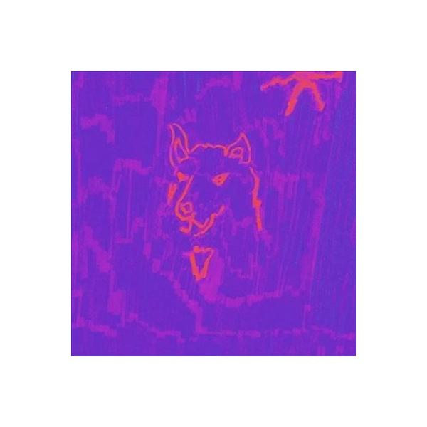 Dehd Poetry＜限定盤＞ LP : タワーレコード Yahoo!店 - 通販 - Yahoo