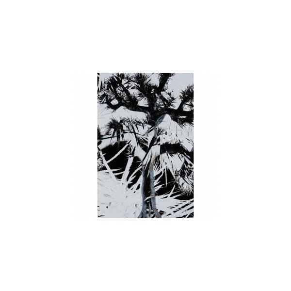 Plastic Tree 完全生産限定版 Amazon.co.jp: ざわめき[完全生産限定盤] - Plastic Tree [CD+