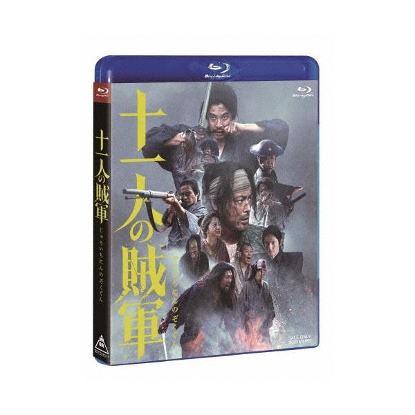 十一人の賊軍＜通常版＞ Blu-ray Disc