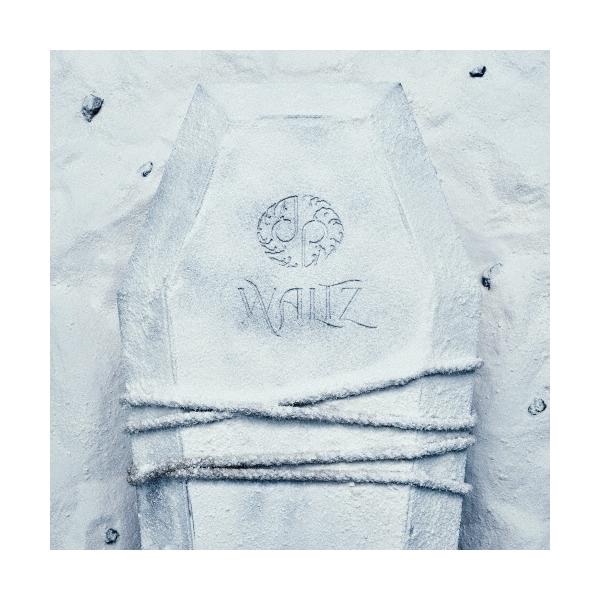 龍宮城 / WALTZ (CD+2Blu-ray) (完全生産限定盤/白盤) 楽天