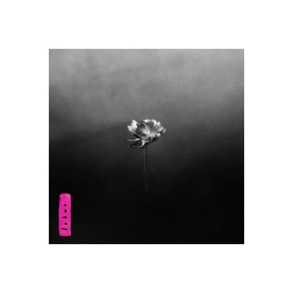 【新品未開封】【レコード】Little Simz Lotus Lotus (帯付/エレクトリック・ピンク・ヴァイナル仕様/アナログ