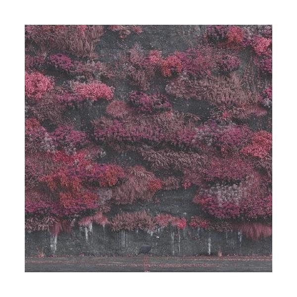 [Release date: June 25, 2025]ご注文後のキャンセル・返品は承れません。発売日:2025年06月25日/商品ID:6832514/ジャンル:ROCK/POP/フォーマット:CD/構成数:1/レーベル:Sony Mu...