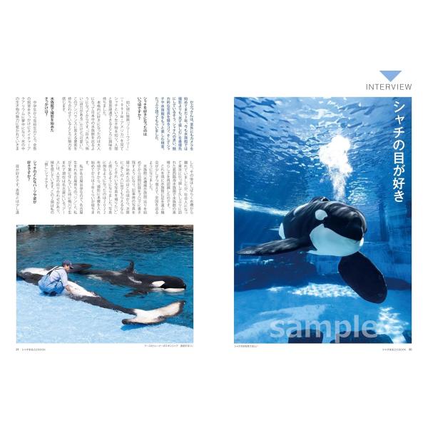 �앝�r�� �V���`�܂邲��BOOK Mook ���i�摜2
