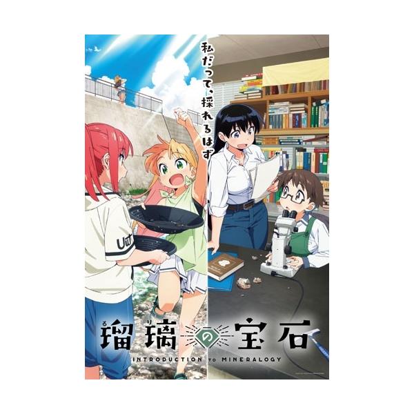 瑠璃の宝石 4 ［DVD+CD］＜完全生産限定版＞ DVD