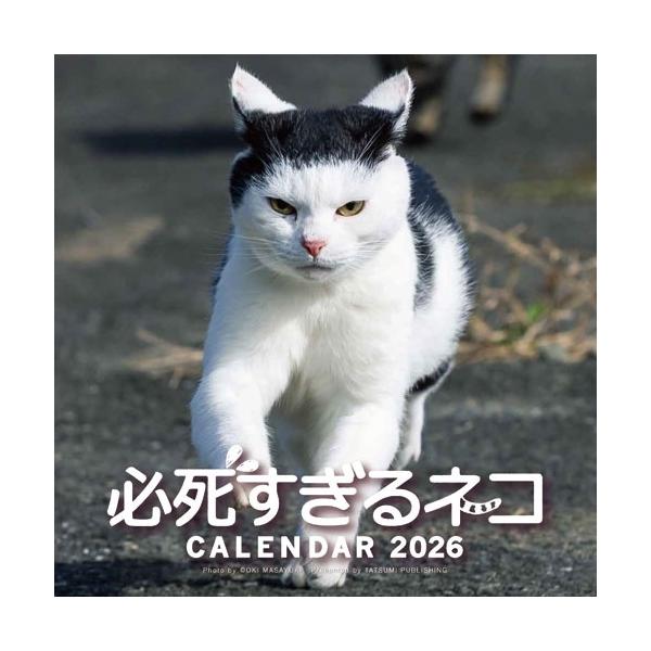 メルカリで24時間以内に売れなければ300円❗️「みんな待ってる花猫ニャンコ」 メルカリで24時間以内に売れなければ300円 「みんな待ってる花猫