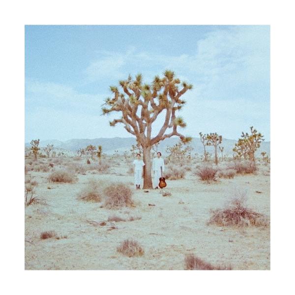 LUCA　CDセット tower_6929806