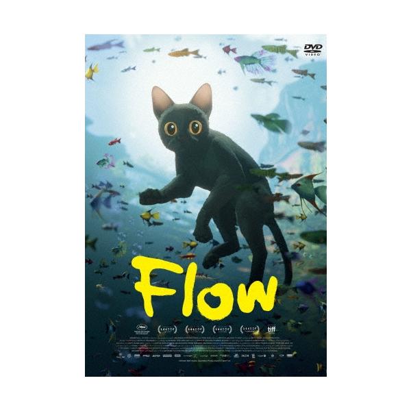 Flow DVD