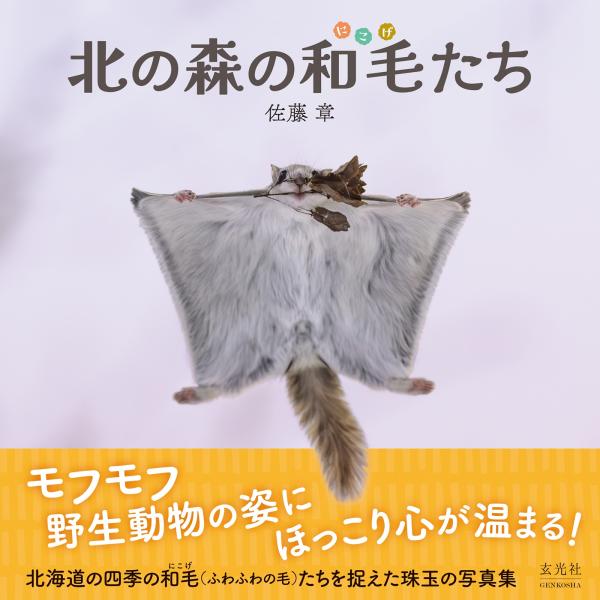 【送料無料】[本/雑誌]/北の森の和毛たち/佐藤章/著