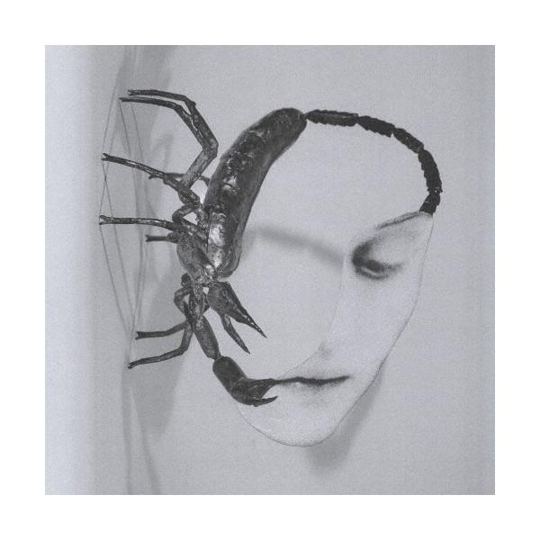 [Release date: November 5, 2025]ご注文後のキャンセル・返品は承れません。発売日:2025年11月05日/商品ID:6971295/ジャンル:ROCK/POP/フォーマット:CD/構成数:1/レーベル:ring...