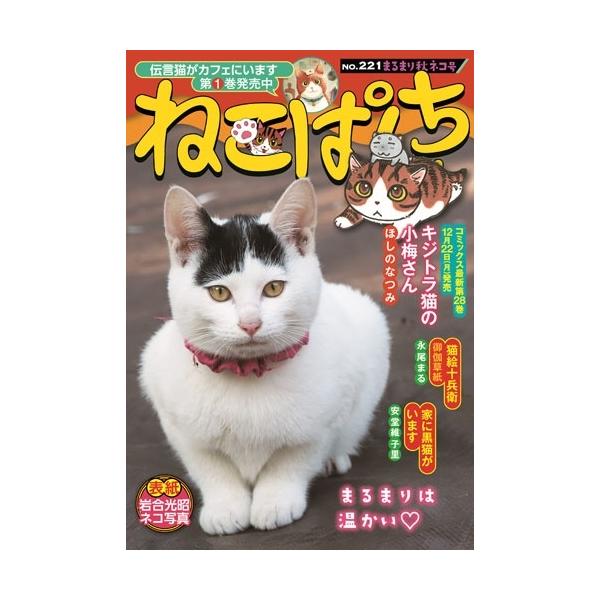 [Release date: November 21, 2025]ご注文後のキャンセル・返品は承れません。発売日:2025年11月21日/商品ID:7109337/ジャンル:DOMESTIC BOOKS/フォーマット:COMIC/構成数:1...