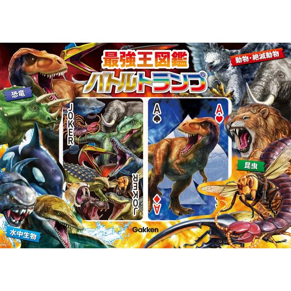 [Release date: December 11, 2025]ご注文後のキャンセル・返品は承れません。発売日:2025年12月11日/商品ID:7239824/ジャンル:DOMESTIC BOOKS/フォーマット:Book/構成数:1/...