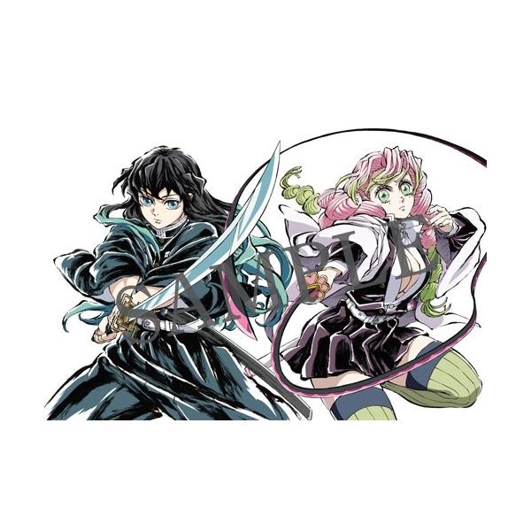 [Release date: March 4, 2026]ご注文後のキャンセル・返品は承れません。発売日:2026年03月04日/商品ID:7941776/ジャンル:DOMESTIC BOOKS/フォーマット:COMIC/構成数:1/レーベ...