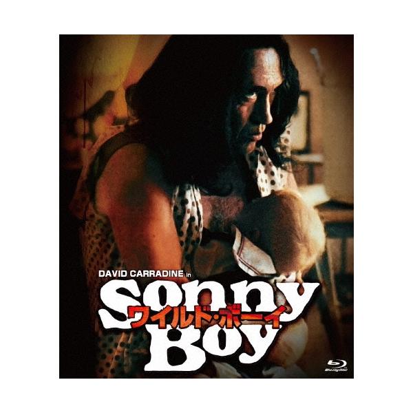 ワイルド・ボーイ＜数量限定版/廉価版＞ Blu-ray Disc
