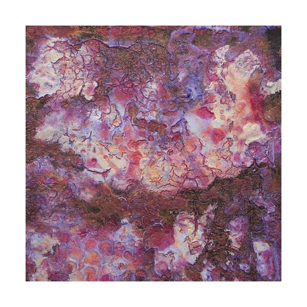 ドミコ うつつしい CD