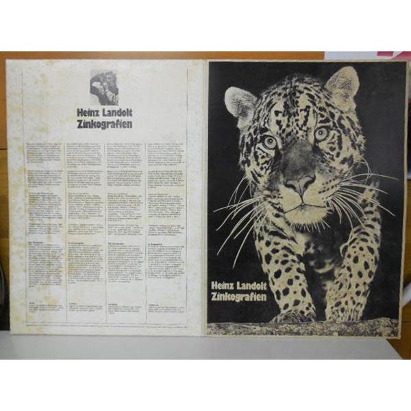 送料無料 ◇ 絵画 版画 ドイツ写真芸術家 Heinz Landolt 亜鉛製版 動物