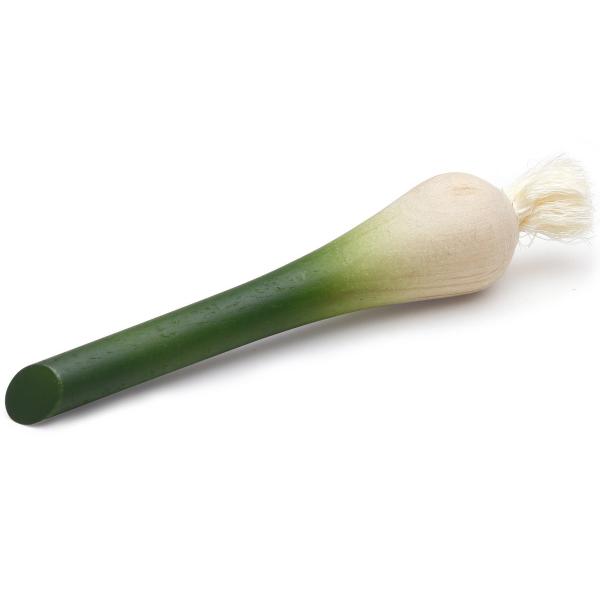 Erzi(GcB)ؐ܂܂ƁwlMxSpring onion