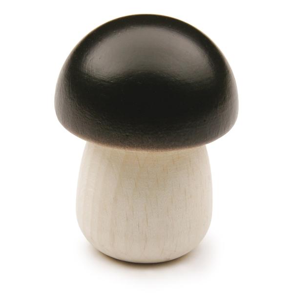 Erzi(GcB)ؐ܂܂ƁŵxYellow boletus