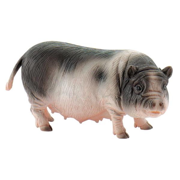 Bullylandブリーランド ポットベリー ピッグ Vietnamese Pot Bellied Pig Buyee Buyee Japanese Proxy Service Buy From Japan Bot Online