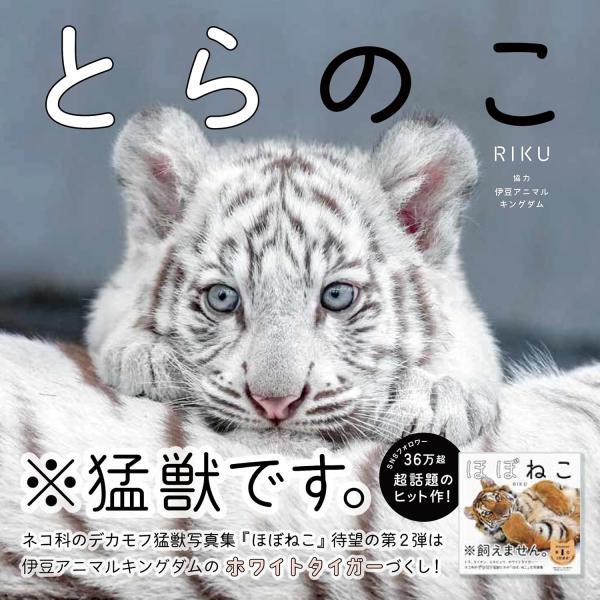 とらのこ　辰巳出版
