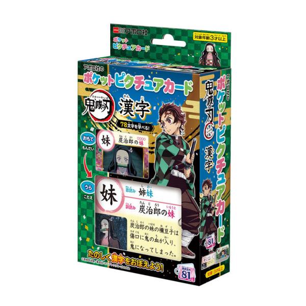知育玩具  鬼滅の刃 漢字  ポケットピクチュアカード APO-08-315
